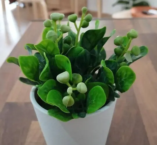 Διαμέρισμα La Pequena Taifa Loft