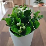 Appartement La Pequena Taifa Loft.