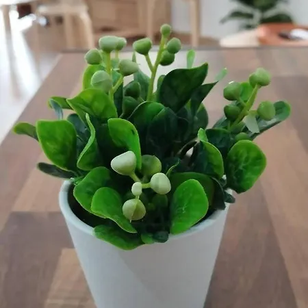 Apartamento La Pequeña Taifa Loft