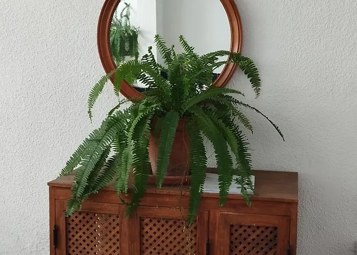 La Pequena Taifa Loft. 科爾多瓦